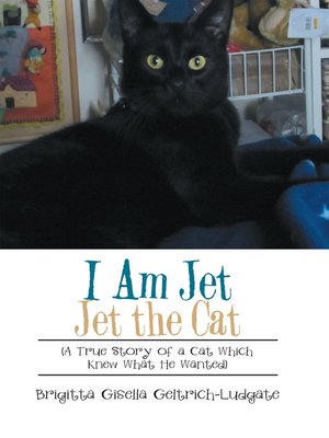 cover image of I Am Jet Jet the Cat